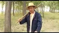 安徽民间小调《罗锅子相亲》03集