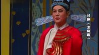 吕剧《龙凤面》全剧 主演 董家岭 高静 马晓琳下载