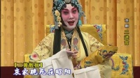 京剧《二进宫》片段 主演  王蓉蓉 孟广禄 倪茂才（北京梅大演出实况）下载