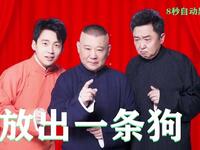 放出一条狗