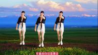广场舞《爱过了头心伤透》动感好看