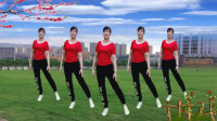 广场舞《我是真的不想变老》头发染冰霜岁月