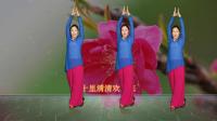 中老年健身《快乐舞步健身操》加长版下载