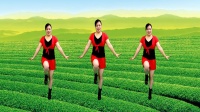 山歌广场舞《欢迎你到壮乡来》旋律动听舞蹈