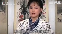 庐剧《大年三十》1欣赏版 总二集