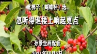 河北梆子《蝴蝶杯》忽听得谯楼上响起更点孙