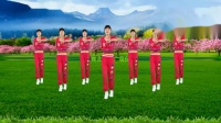 励志DJ广场舞《万里长城永不倒》动感带劲
