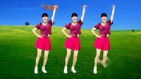 伤感DJ情歌广场舞《无心的遇见》曲风优美