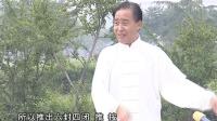 陈氏太极拳国家级传承人示范讲解下载