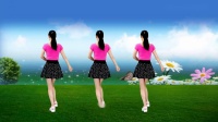 广场舞《蝴蝶爱花朵》歌醉舞美