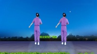 DJ广场舞《真的不容易》演示分解