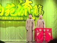 搞笑不含糊