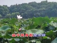 淮剧《罗英访贤》选段《买你怀抱三滴水》下载