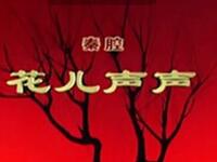 秦腔《花儿声声》全本戏 宁夏秦腔剧院演出下载