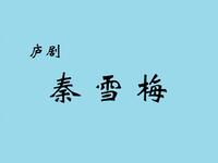 庐剧《秦雪梅》选集