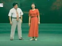 河南坠子《傻子相亲》下载
