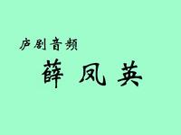 庐剧音频《薛凤英》皖西庐剧院