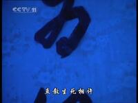 越剧《百花江》全剧 宁波小百花越剧团