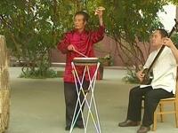 西河大鼓《杨金花夺印》下集