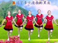 广场舞《怎么可以如此冷血》伤感动听简单好