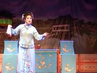传统锡剧《拨兰花》全本 常州市武进区锡剧协会潞城演出团下载
