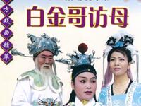 揚琴戏《白金哥访母》