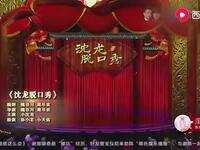 沈龙脱口秀下载