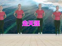 广场舞《走天涯》最好听的舞曲配上最新颖的