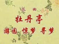 昆曲《游园惊梦寻梦》俞振飞（蔡正仁）言慧珠（张