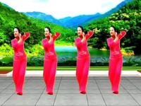 凤姐广场舞《我是一条小河》