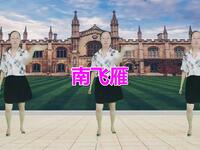 广场舞《南飞雁》DJ动感旋律