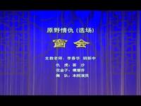 荆州花鼓戏《原野情仇》下载