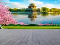 凤姐广场舞《九九艳阳天》