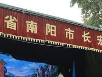 曲剧《刘金定下南唐》全剧