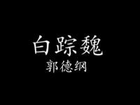 白踪魏