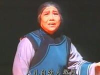 淮剧《丁黄氏奇冤》第七场第八场 上海淮剧