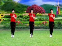 广场舞《美丽的草原我来了》 动作简单好看