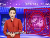 青羽歌仔戏《多情人间》