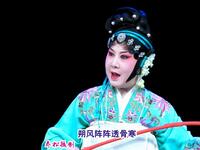传统川剧《泾河牧羊》（胡琴）重庆市川剧院演出