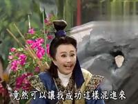 歌仔戏菩提禅心《宰相之子》第3集下载