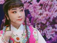 婺剧《红楼梦》下载