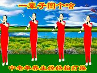 中老年拍打操《一辈子图个啥》疏通经络强健心肺下载
