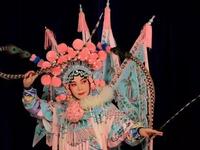 锡剧《袁彩凤锡剧个人演唱会》