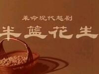 越剧《半篮花生》浙江越剧团演出下载