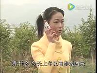 客家山歌剧《金花情缘》上集