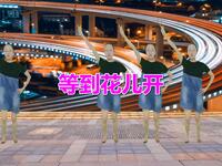 广场舞《等到花儿开》好听好看