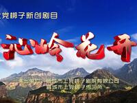 晋城市上党梆子剧院《沁岭花开》下载
