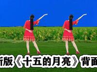 DJ广场舞《十五的月亮》最新最热版