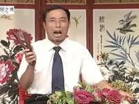 大鼓书《张廷秀私访》第六集下载
