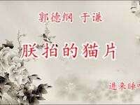 朕拍的猫片
